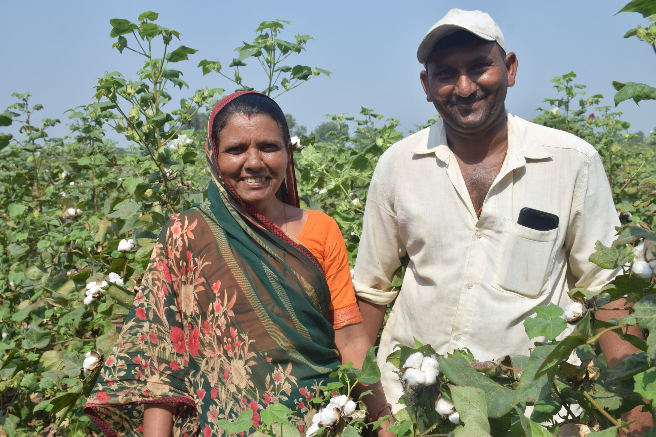 Cotton Growers — Couple
