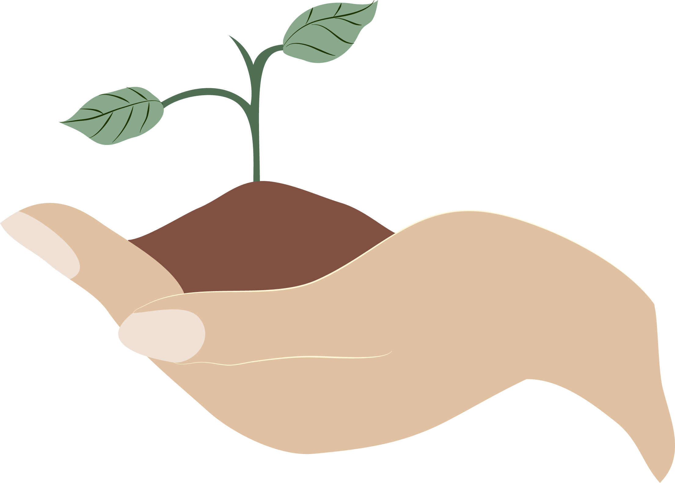 Handhold